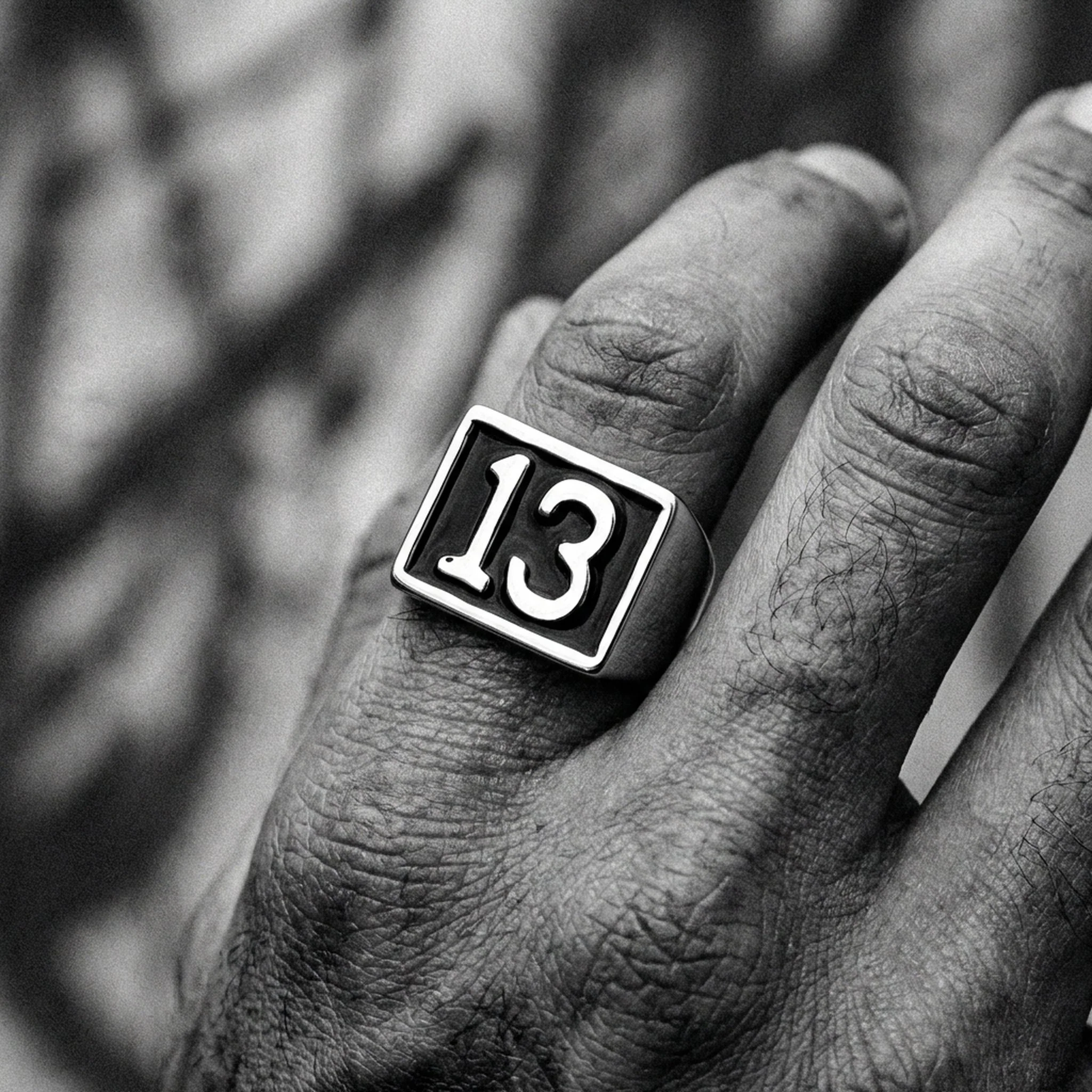 13. - Image 4