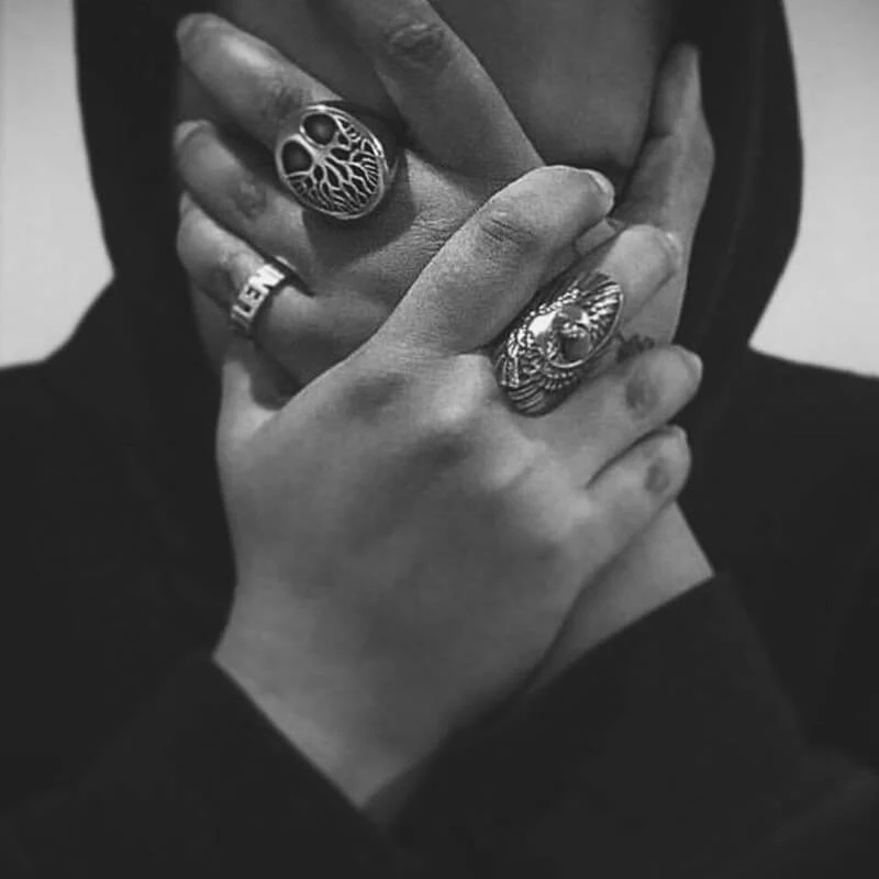 PROTECT WINGS. - Image 6