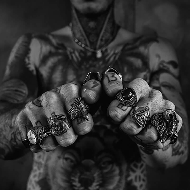 RAVEN. - Image 6